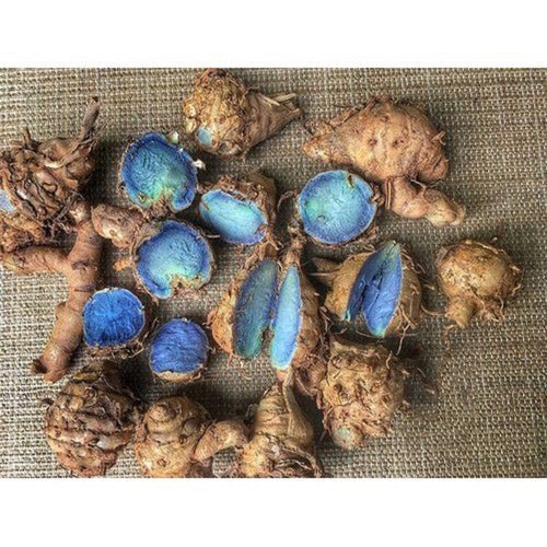 Rudra Brothers Kali Haldi Or Black Turmeric | Raw And Natural |