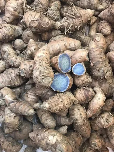 Rudra Brothers Kali Haldi Or Black Turmeric | Raw And Natural |
